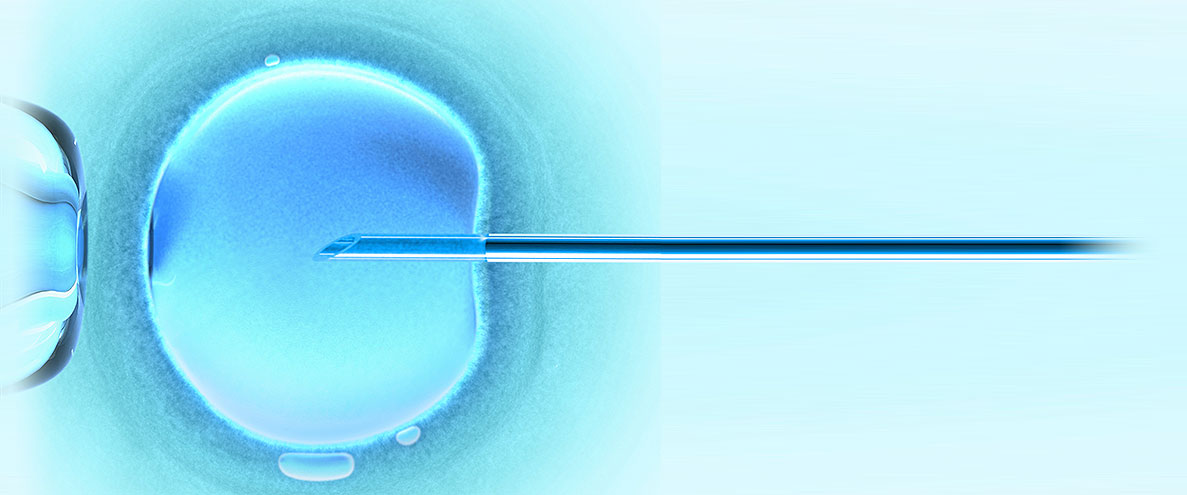 Supportive fertility care